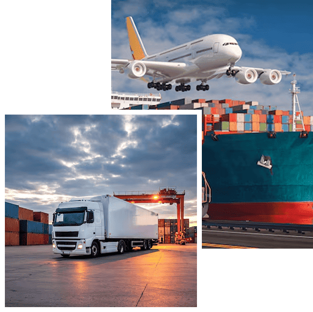 About Anchora Logistics Services